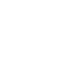 Logo Ems Lyon Blanc